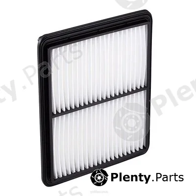 GCG Turbos Australia RY-A1353 — Air Filter