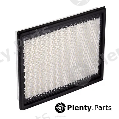 GCG Turbos Australia RY-A1384 — Air Filter