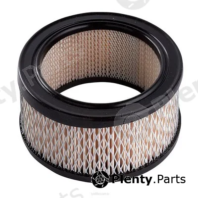 GCG Turbos Australia RY-A134 — Air Filter