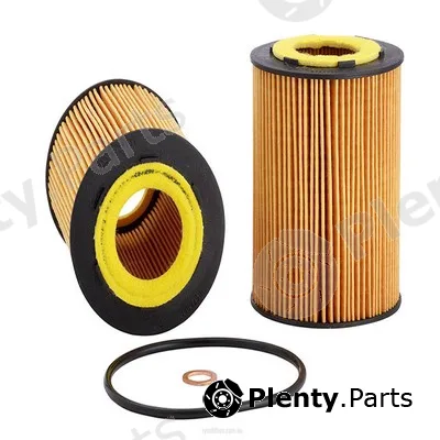 GCG Turbos Australia RY-R2592P — Oil Filter