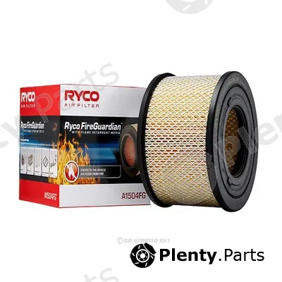 GCG Turbos Australia RY-A1504FG — Air Filter
