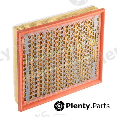 GCG Turbos Australia RY-A1741 — Air Filter
