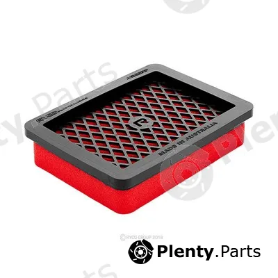 GCG Turbos Australia RY-A1522RP — Air Filter