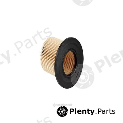 GCG Turbos Australia RY-A1436 — Air Filter