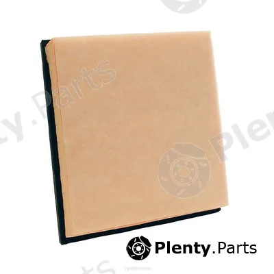 GCG Turbos Australia RY-A1842 — Air Filter