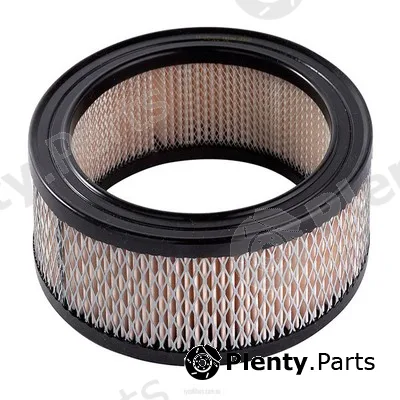 GCG Turbos Australia RY-A100 — Air Filter