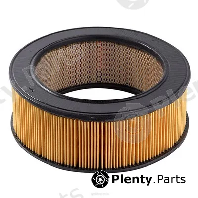 GCG Turbos Australia RY-A299 — Air Filter