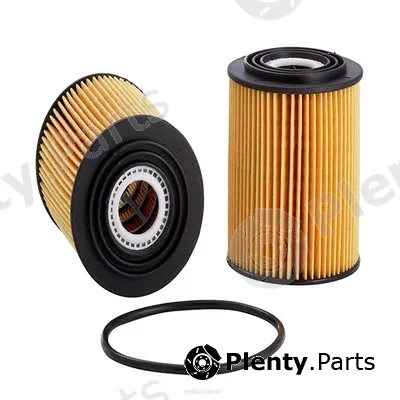 GCG Turbos Australia RY-R2647P — Oil Filter