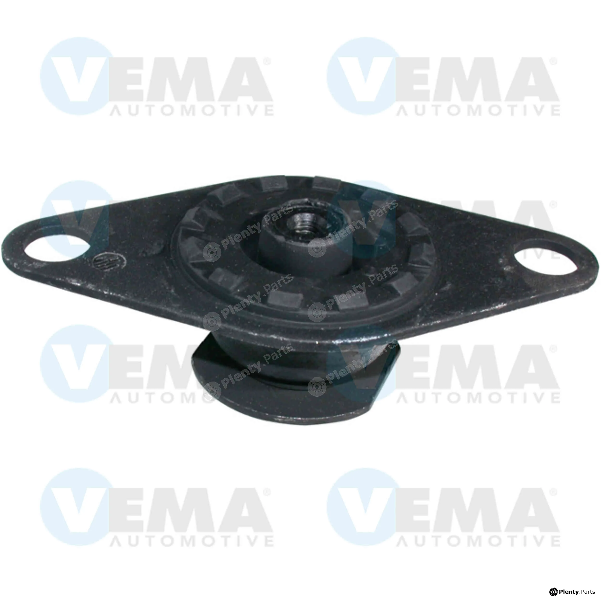 Vema 15151 — Mounting, engine