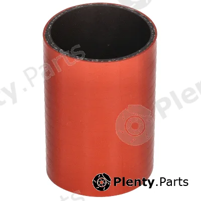 Vema VE55634 — Charge Air Hose