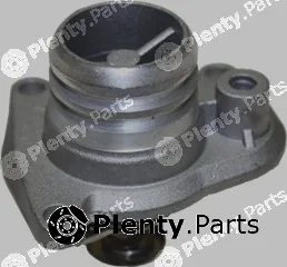 Vema VE80016 — Coolant Flange