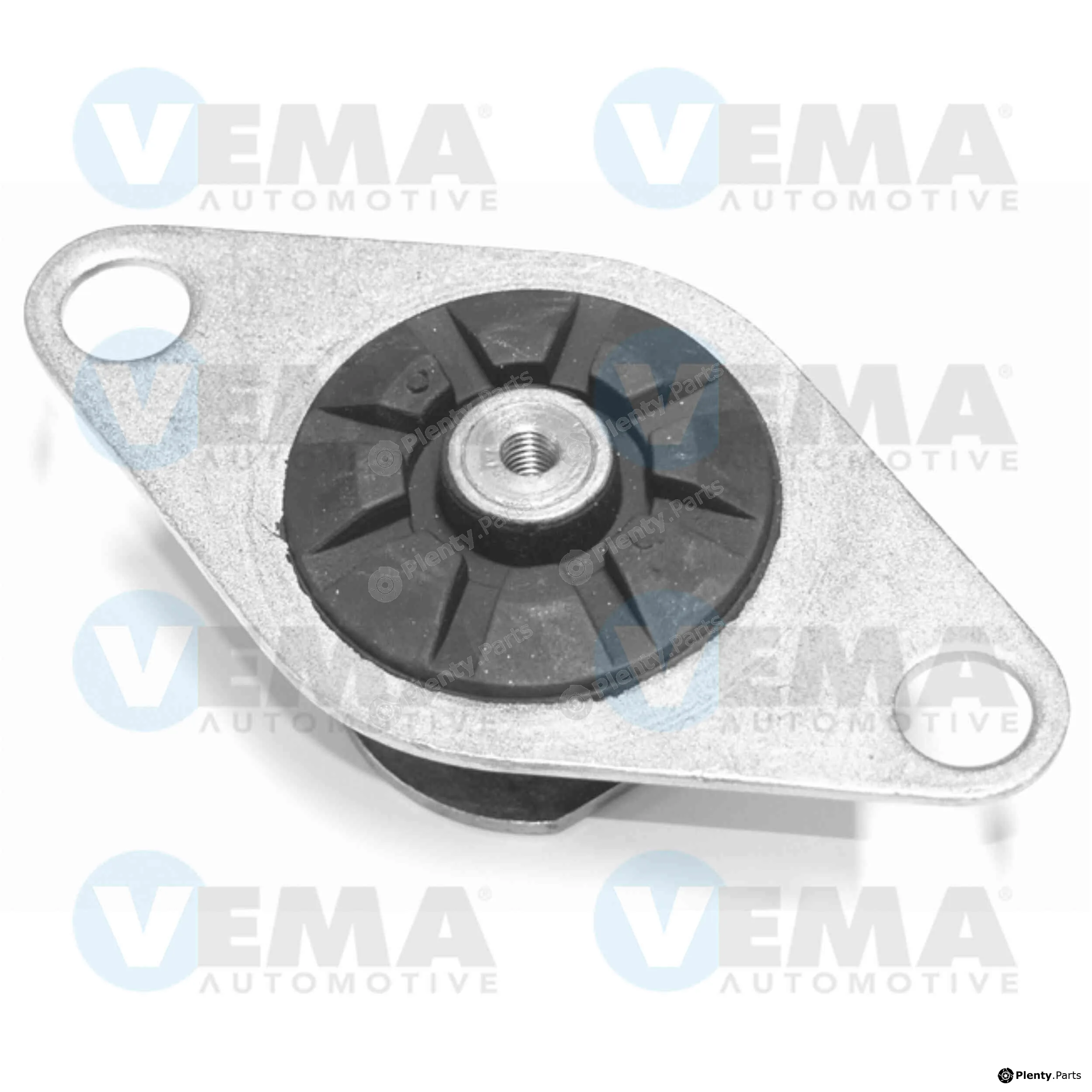 Vema 15154 — Mounting, engine