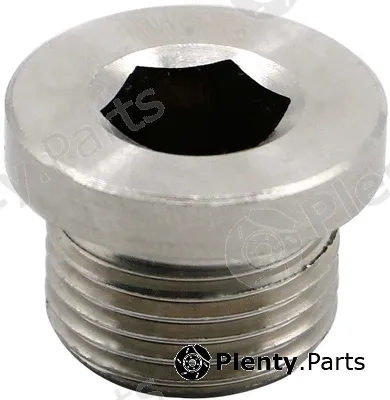 Vema 309009 — Screw Plug, oil sump
