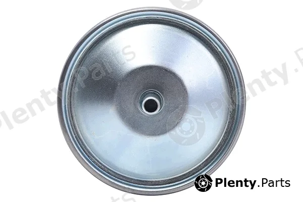 Continental 28.0002-3050.2 — Fuel Filter