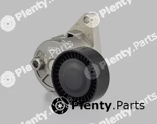 BSG BSG15-615-007 — Tensioner Lever, V-ribbed belt