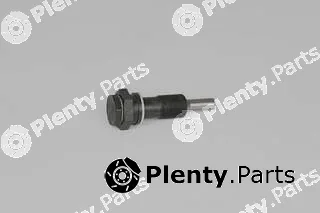 BSG BSG60-109-022 — Tensioner, timing chain