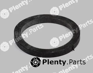 BSG BSG30-700-369 — Seal, thermostat
