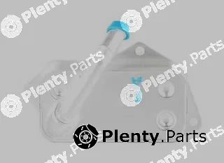 BSG BSG15-506-004 — Oil Cooler, engine oil