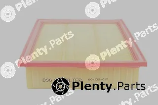 BSG BSG60-135-012 — Air Filter