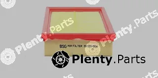 BSG BSG30-135-006 — Air Filter