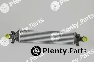 BSG BSG60-535-002 — Charge Air Cooler