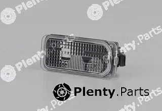 BSG BSG30-818-002 — Licence Plate Light
