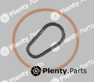 BSG BSG30-235-008 — Seal Set, vacuum pump