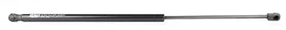 BSG BSG65-980-022 — Gas Spring, boot/cargo area