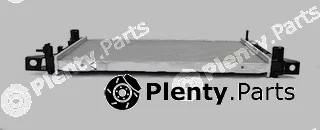 BSG BSG30-520-002 — Radiator, engine cooling