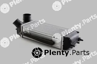 BSG BSG30-535-013 — Charge Air Cooler
