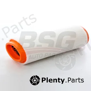 BSG BSG15-135-005 — Air Filter
