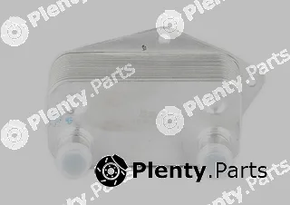 BSG BSG15-506-006 — Oil Cooler, engine oil