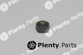 BSG BSG75-551-001 — Cap, coolant tank