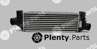 BSG BSG30-535-002 — Charge Air Cooler