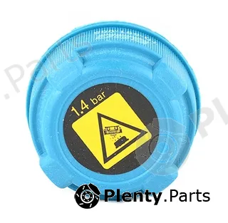 BSG BSG70-551-005 — Cap, coolant tank