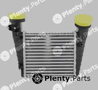 BSG BSG90-535-004 — Charge Air Cooler