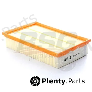 BSG BSG15-135-028 — Air Filter