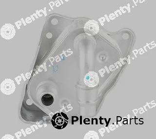 BSG BSG15-506-005 — Oil Cooler, engine oil