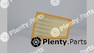 BSG BSG60-135-042 — Air Filter