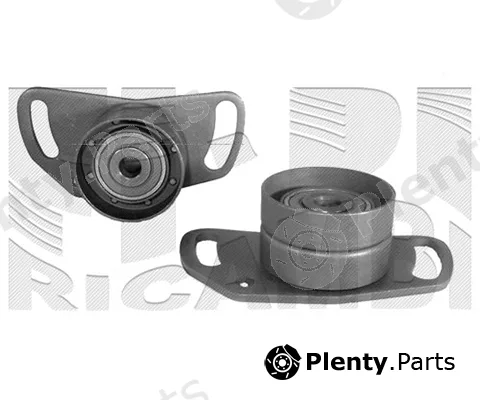 Caliber 77069 — Tensioner Pulley, timing belt