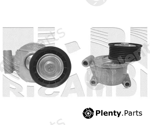 Caliber 30168 — Belt Tensioner, V-ribbed belt