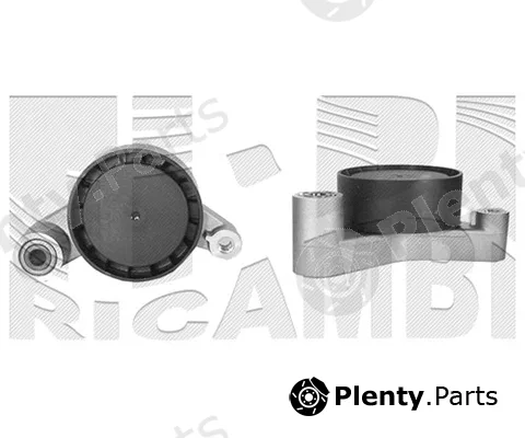 Caliber 66169 — Tensioner Pulley, V-ribbed belt