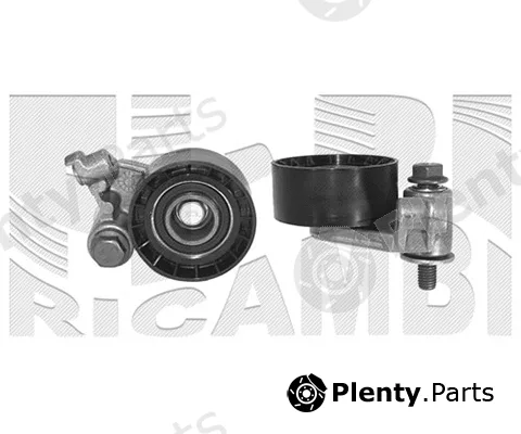 Caliber 46966 — Tensioner Pulley, timing belt