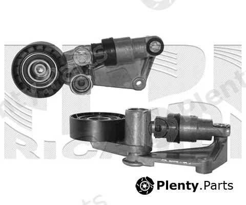 Caliber 66165 — Belt Tensioner, V-ribbed belt