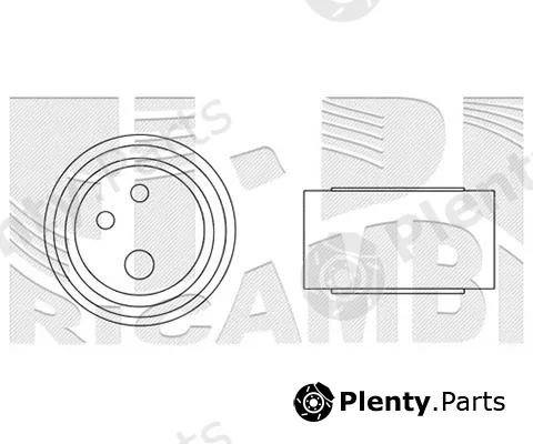 Caliber 06966 — Tensioner Pulley, timing belt