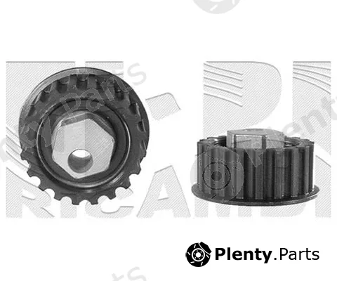 Caliber 06666 — Tensioner Pulley, timing belt
