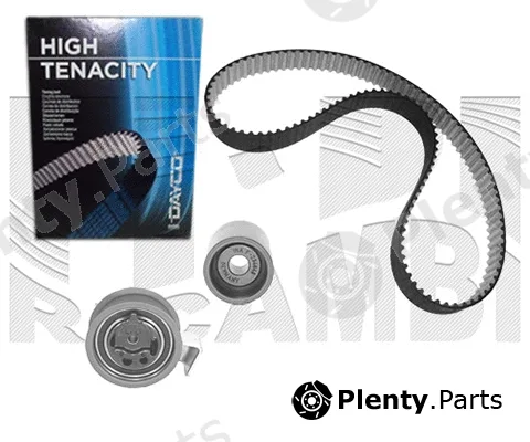 Caliber 0305KW — Timing Belt Kit