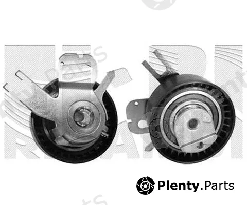Caliber 20667 — Tensioner Pulley, timing belt