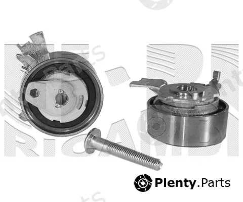 Caliber 16062 — Tensioner Pulley, timing belt