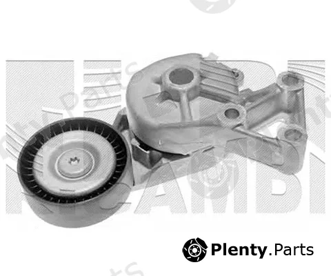 Caliber 00261 — Belt Tensioner, V-ribbed belt